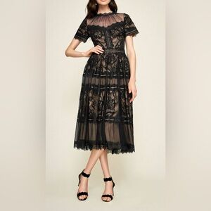 TADASHI SHOJI Camilla Tea Length Lace Dress AWI17173MD Ivory Petal NWT